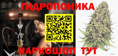 гашик Заволжье