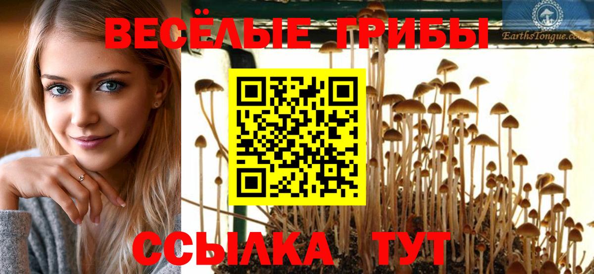 Галлюциногенные грибы мухоморы Дятьково