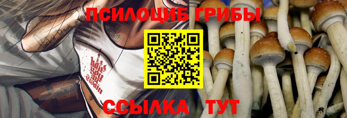 хочу наркоту  Галлюциногенные грибы мухоморы  Вход с VPN  Дятьково  Псилоцибиновые грибы GOLDEN TEACHER 